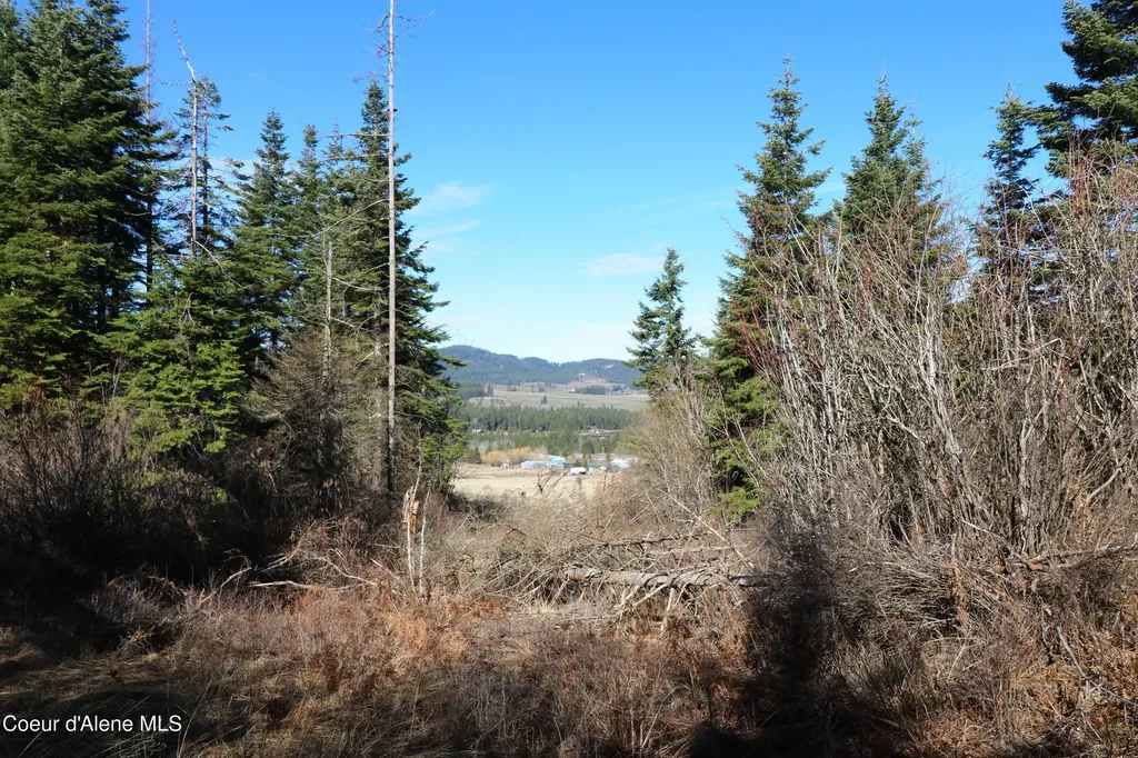 Tract 4 Thimbleberry Lane Plummer ID 83851