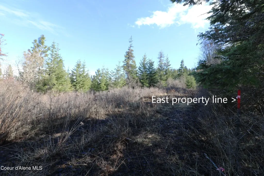 Tract 4 Thimbleberry Lane Plummer ID 83851