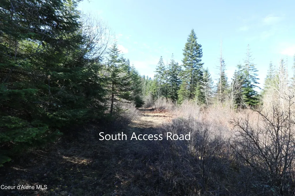 Tract 4 Thimbleberry Lane Plummer ID 83851