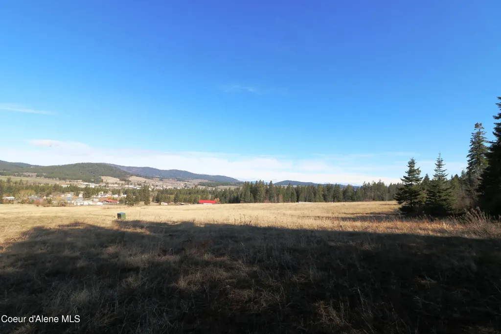 Tract 4 Thimbleberry Lane Plummer ID 83851