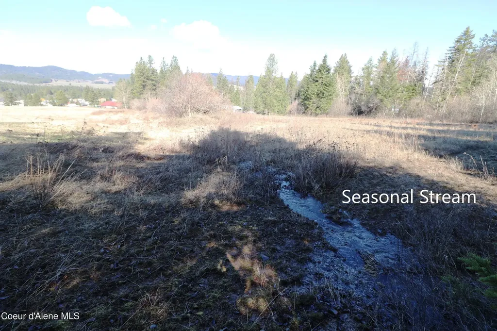 Tract 4 Thimbleberry Lane Plummer ID 83851