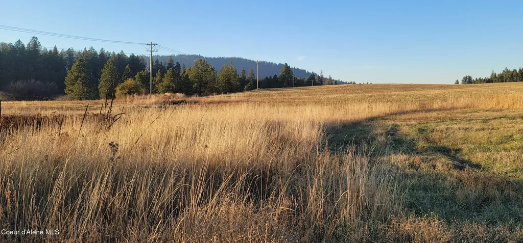 Sunny Slopes Road Lot 4 Block A Worley ID 83876