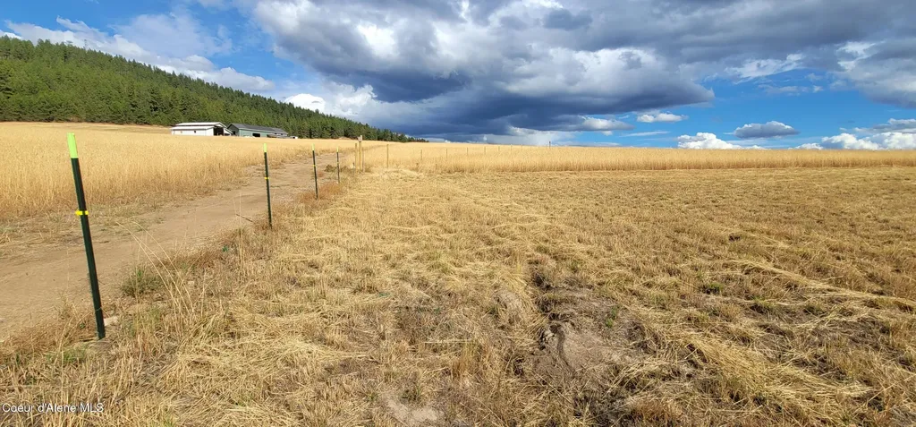 Sunny Slopes Road Lot 4 Block A Worley ID 83876