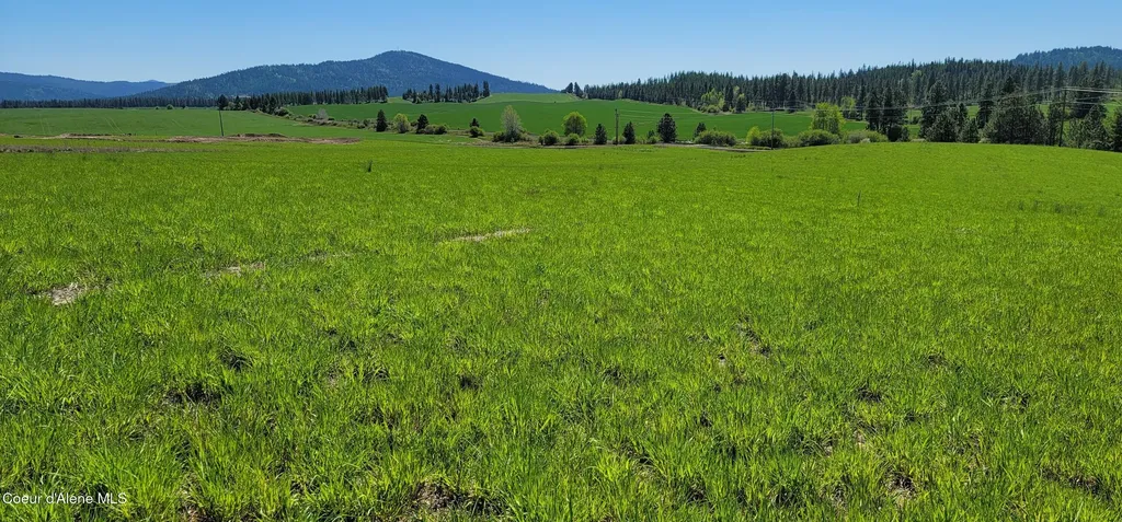 Sunny Slopes Road Lot 4 Block A Worley ID 83876