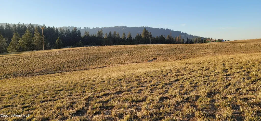 Sunny Slopes Road Lot 4 Block A Worley ID 83876