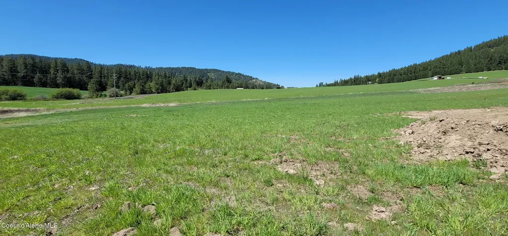 Sunny Slopes Road Lot 4 Block A Worley ID 83876