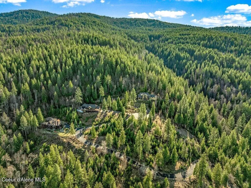477 Big Pine Drive - 5.6 Acres Sagle ID 83860