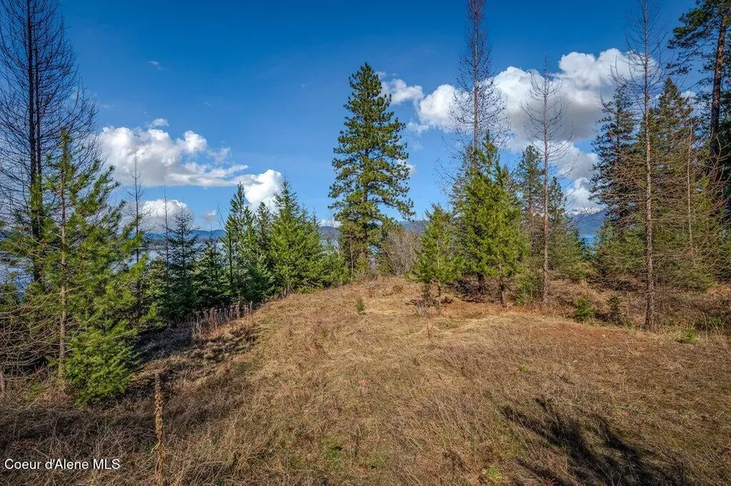477 Big Pine Drive - 5.6 Acres Sagle ID 83860