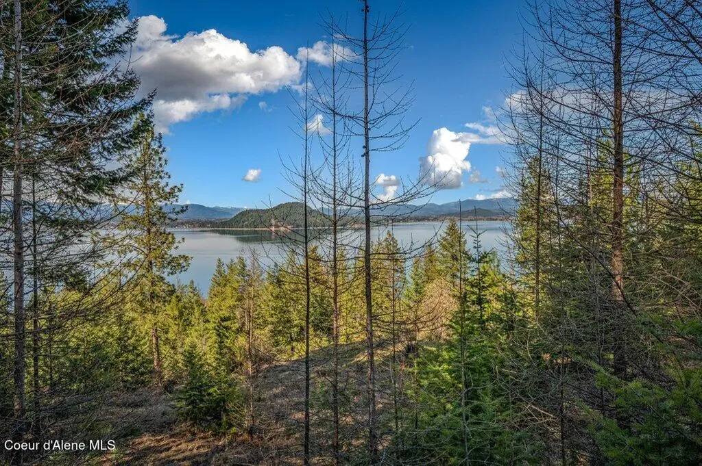 477 Big Pine Drive - 5.6 Acres Sagle ID 83860
