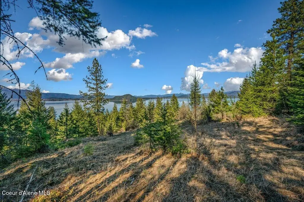 477 Big Pine Drive - 5.6 Acres Sagle ID 83860
