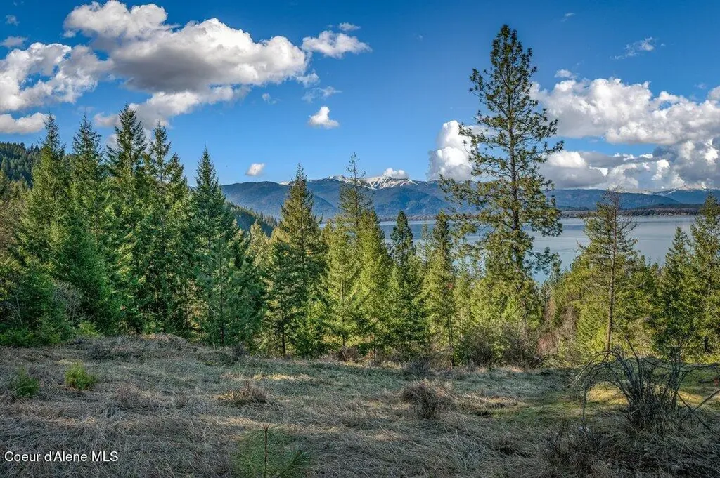 477 Big Pine Drive - 5.6 Acres Sagle ID 83860