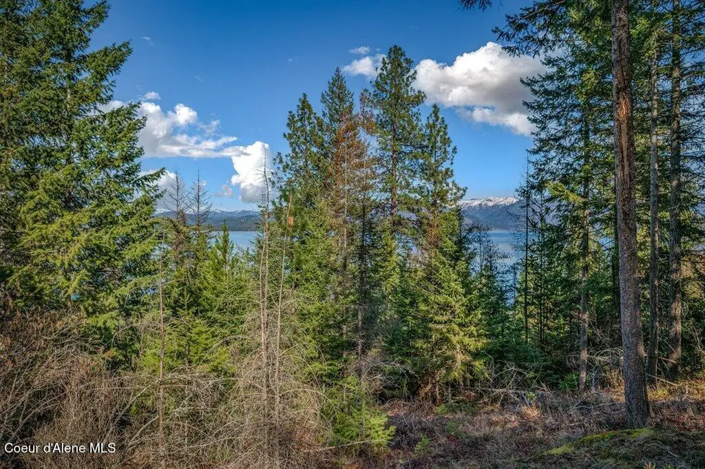 477 Big Pine Drive - 5.6 Acres Sagle ID 83860