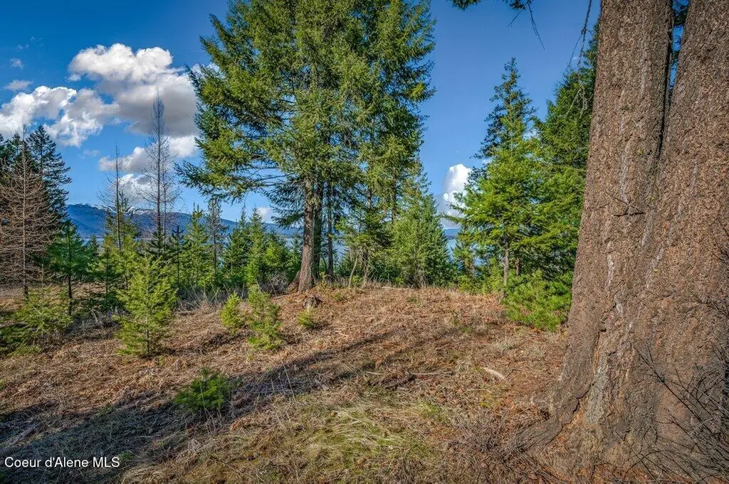 477 Big Pine Drive - 5.6 Acres Sagle ID 83860