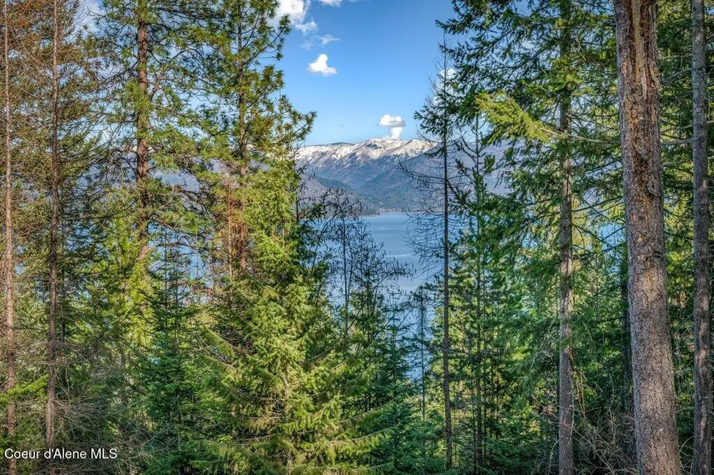 477 Big Pine Drive - 5.6 Acres Sagle ID 83860