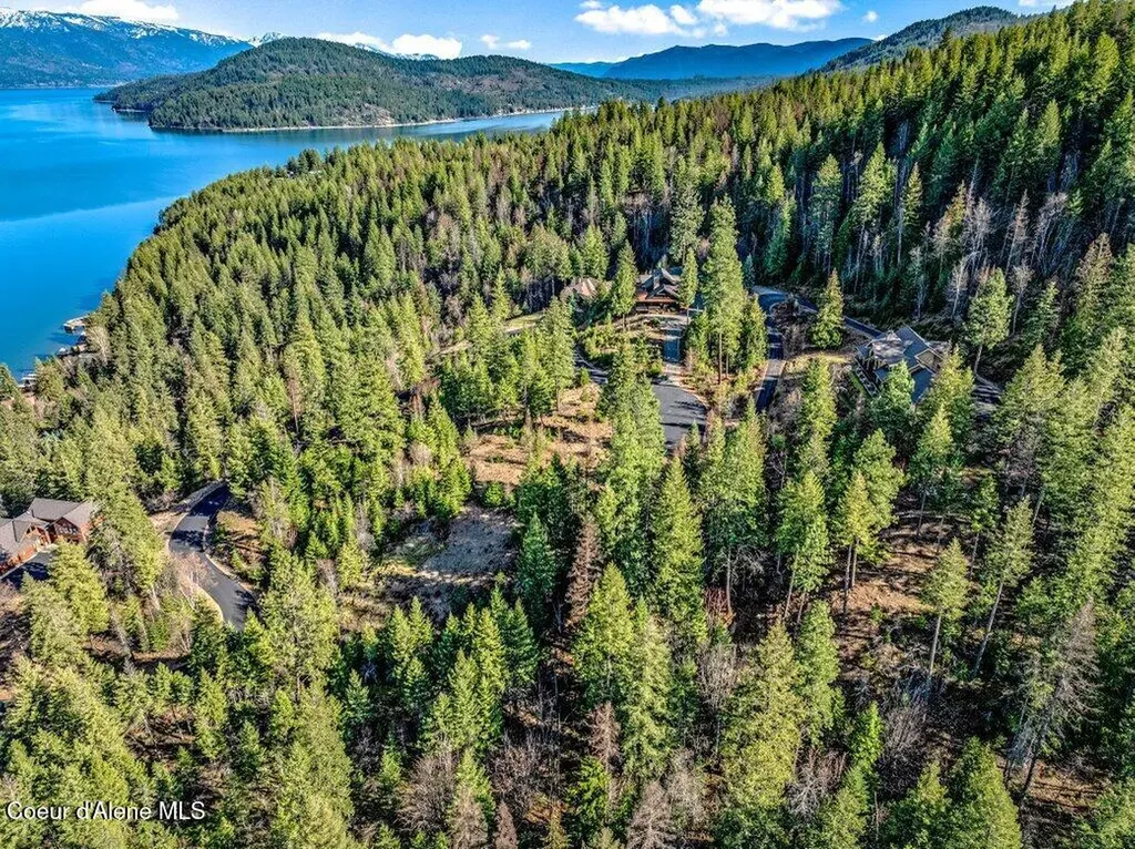 477 Big Pine Drive - 5.6 Acres Sagle ID 83860