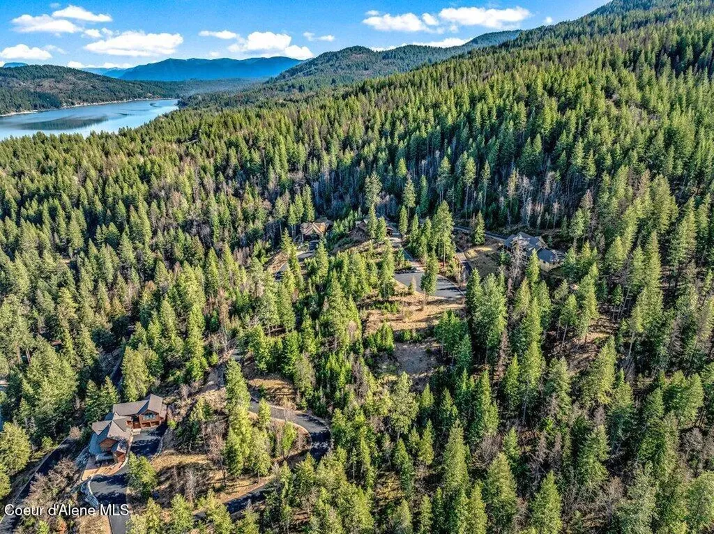 477 Big Pine Drive - 5.6 Acres Sagle ID 83860