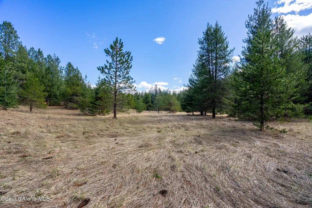 1029 Sun Valley Drive Careywood ID 83809