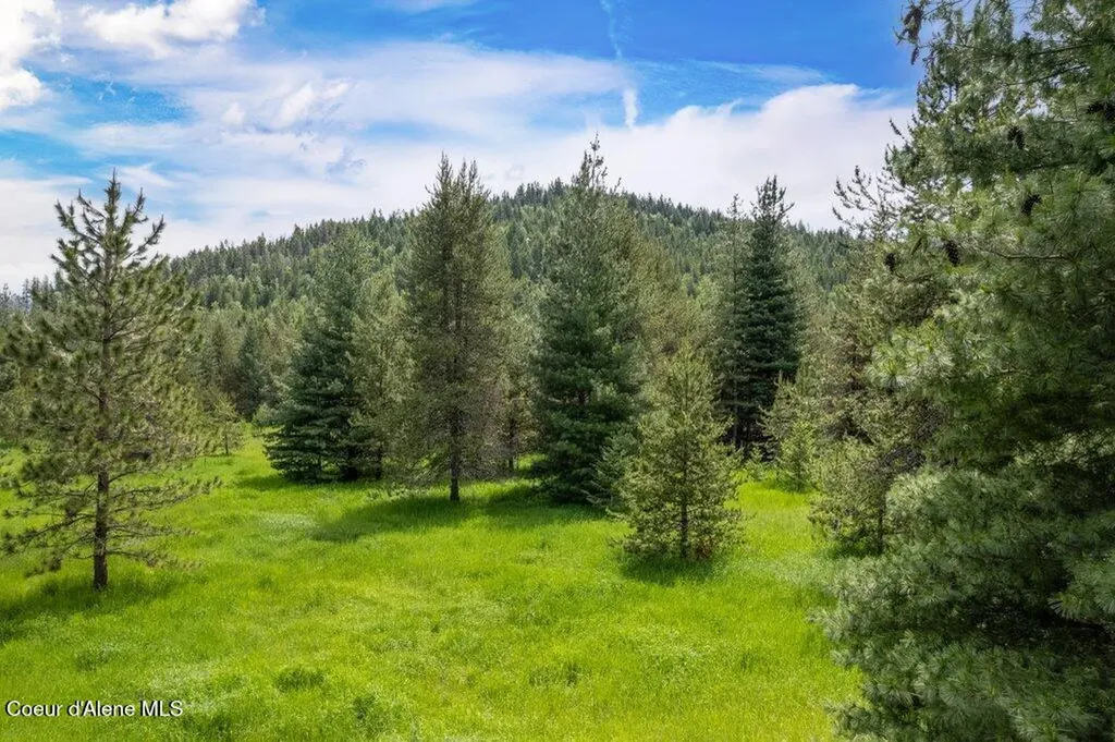 1029 Sun Valley Drive Careywood ID 83809