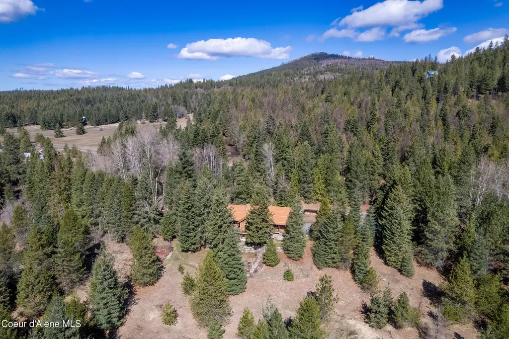 1029 Sun Valley Drive Careywood ID 83809