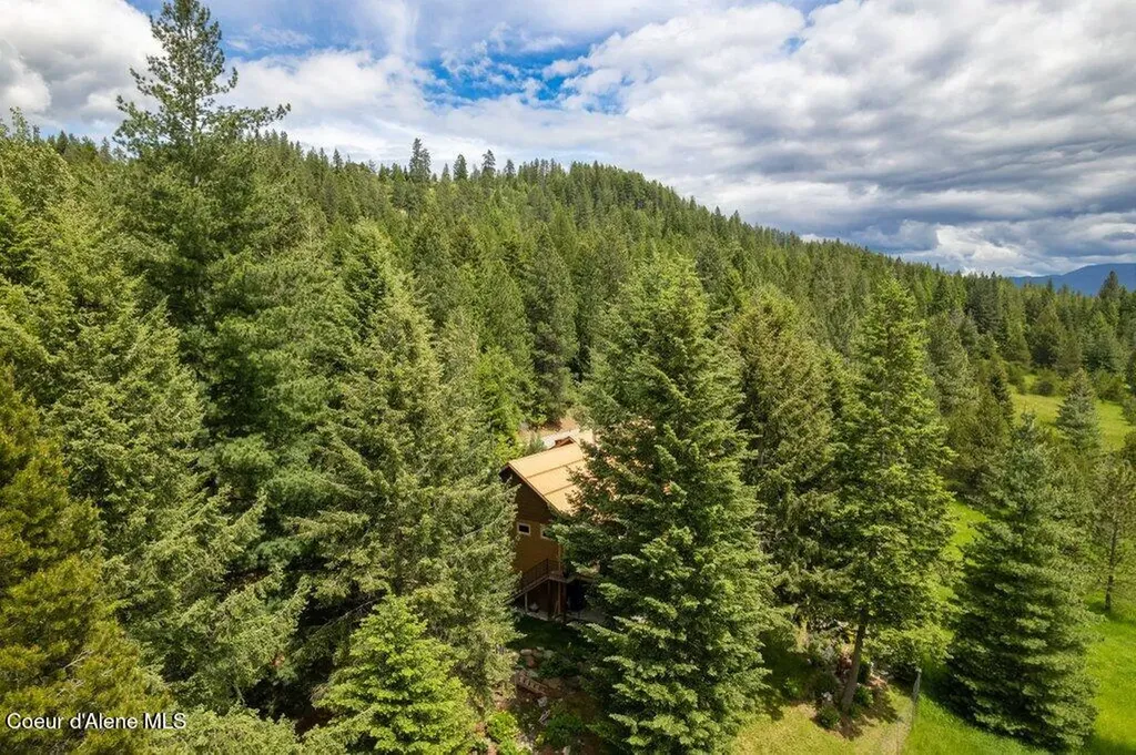 1029 Sun Valley Drive Careywood ID 83809