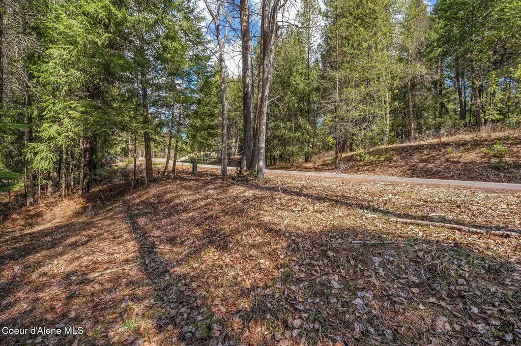 Nna Hanaford Road (lot 11) Blanchard ID 83804