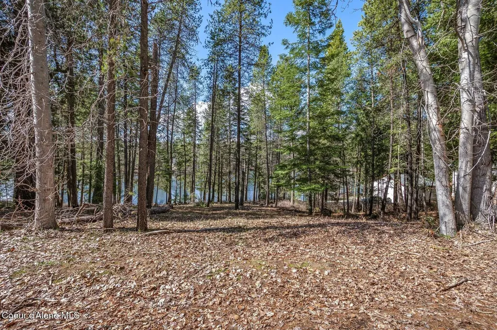Nna Hanaford Road (lot 11) Blanchard ID 83804