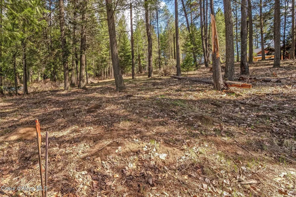 Nna Hanaford Road (lot 11) Blanchard ID 83804