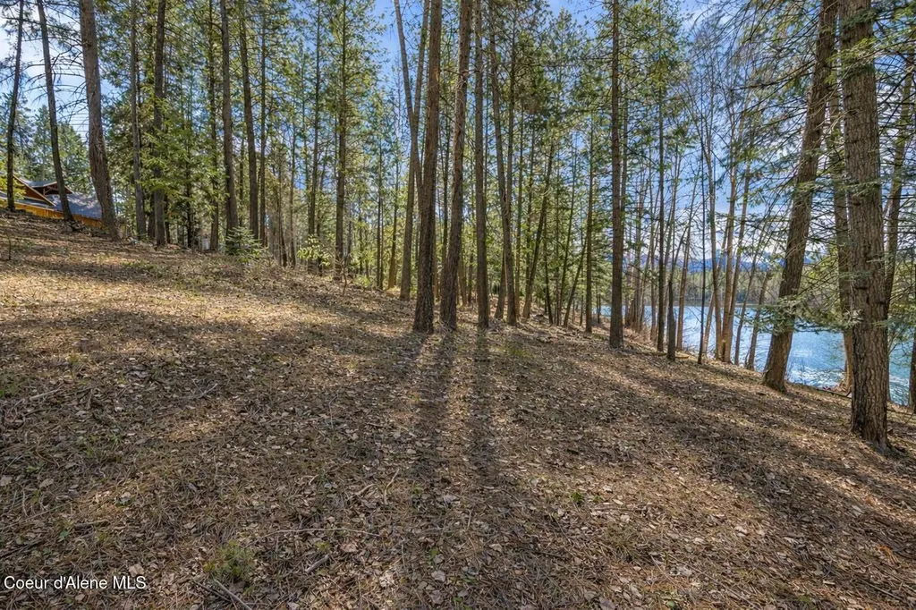 Nna Hanaford Road (lot 11) Blanchard ID 83804