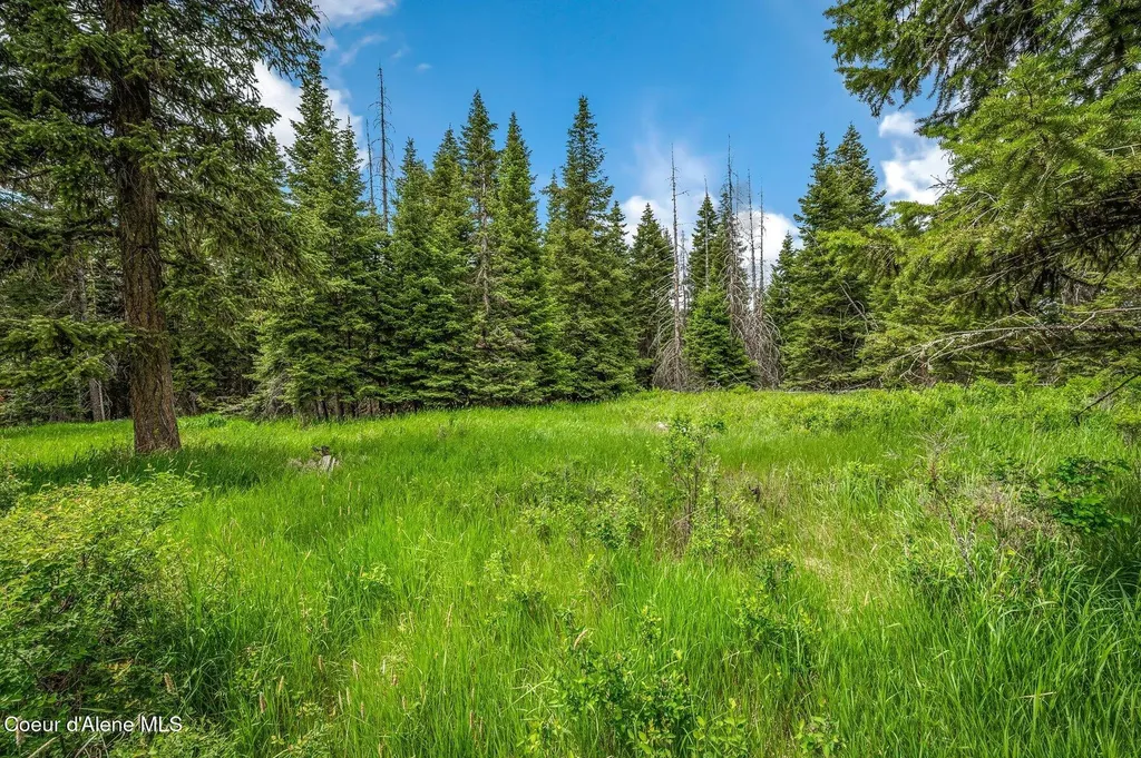 100 Timberline Drive St. Maries ID 83861