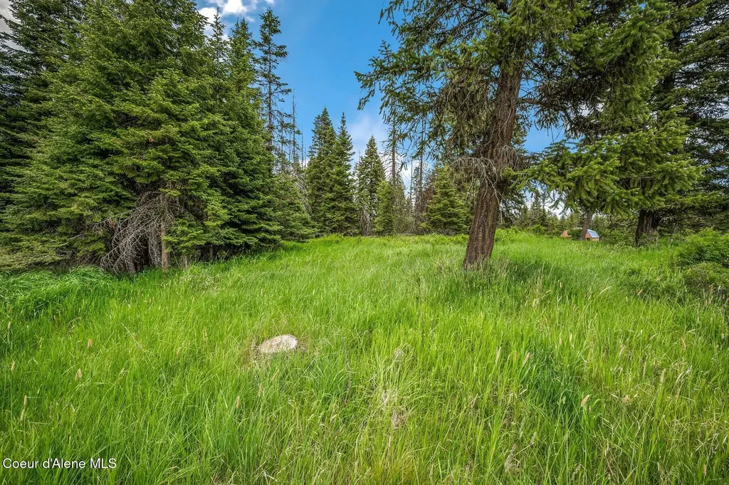100 Timberline Drive St. Maries ID 83861