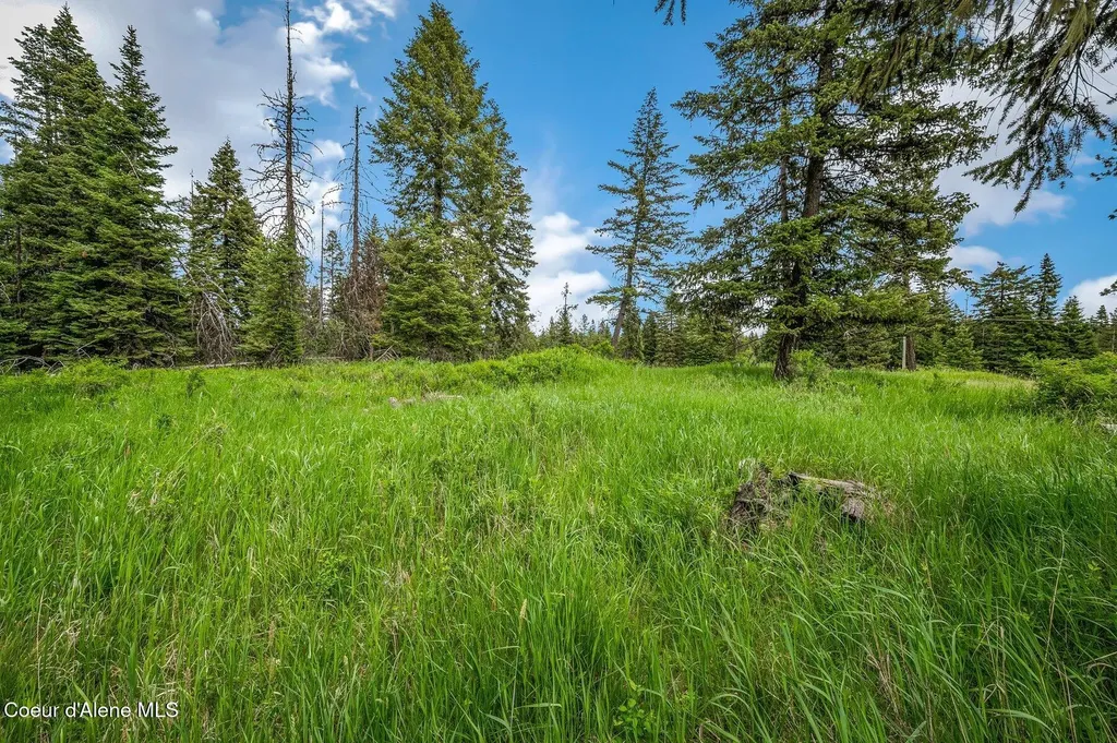 100 Timberline Drive St. Maries ID 83861