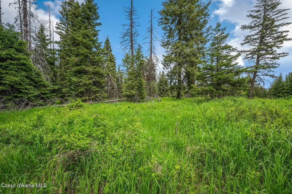 100 Timberline Drive St. Maries ID 83861