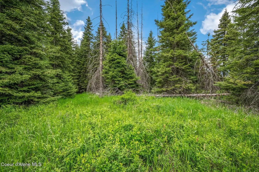 100 Timberline Drive St. Maries ID 83861