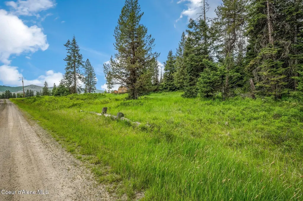 100 Timberline Drive St. Maries ID 83861
