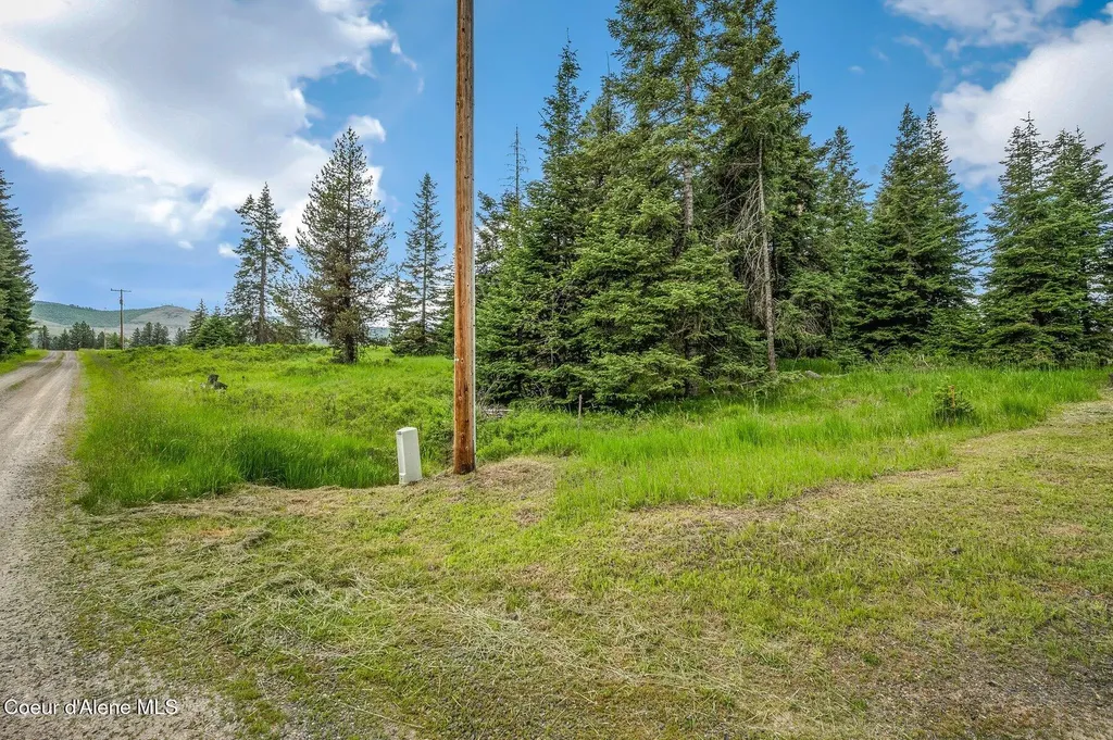 100 Timberline Drive St. Maries ID 83861