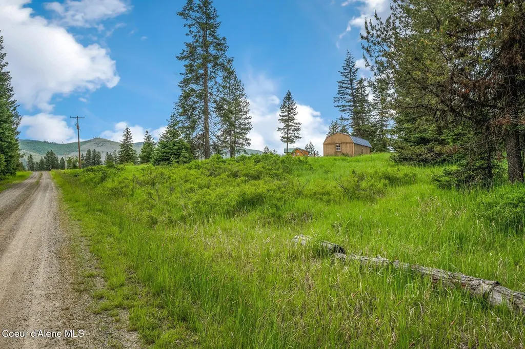 100 Timberline Drive St. Maries ID 83861