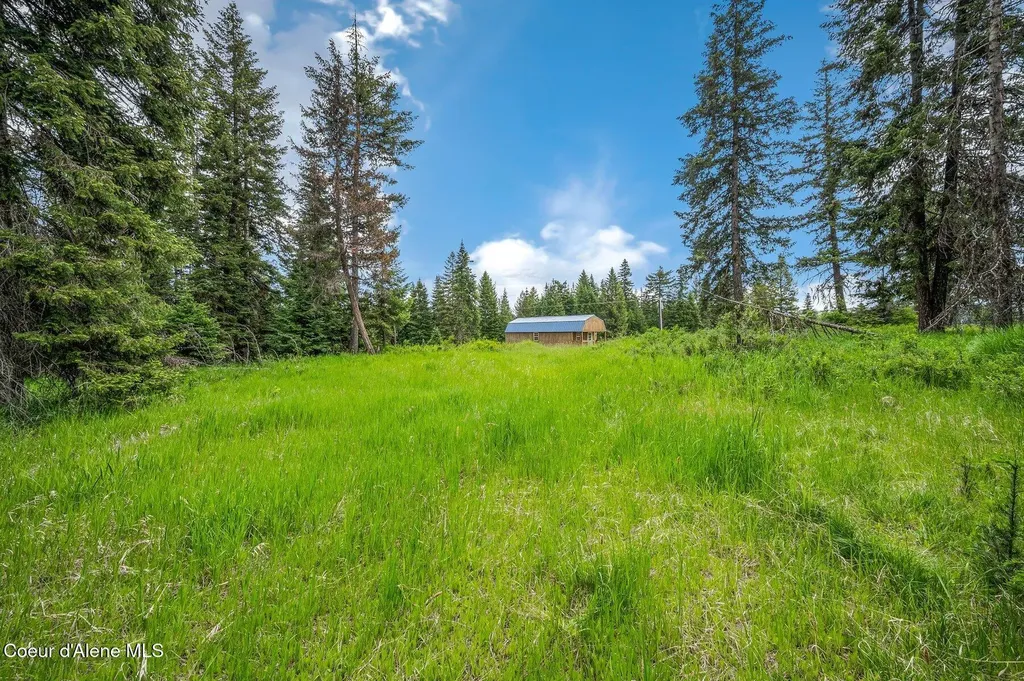 100 Timberline Drive St. Maries ID 83861