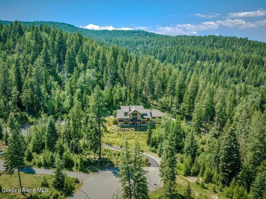 477 Big Pine Drive Sagle ID 83860