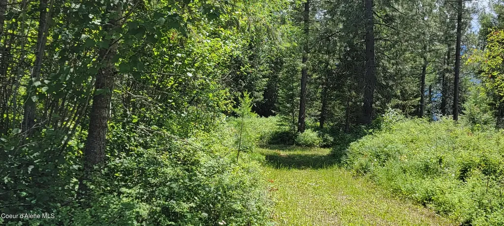 Nna Continental Lane-parcel 3 Bonners Ferry ID 83805