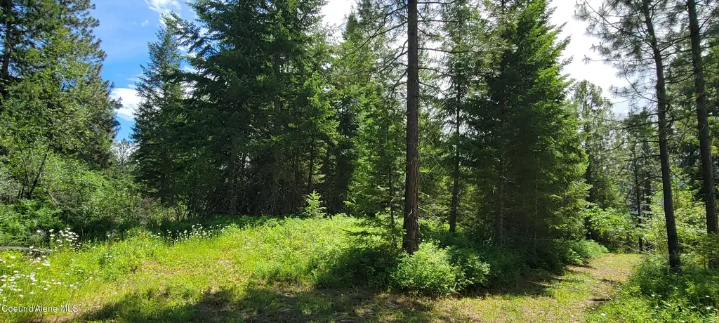 Nna Continental Lane-parcel 3 Bonners Ferry ID 83805