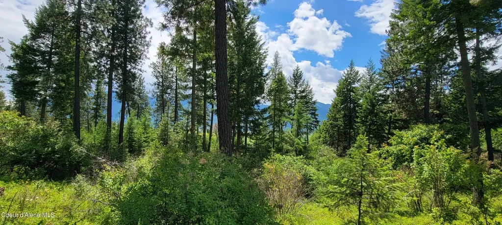 Nna Continental Lane-parcel 3 Bonners Ferry ID 83805