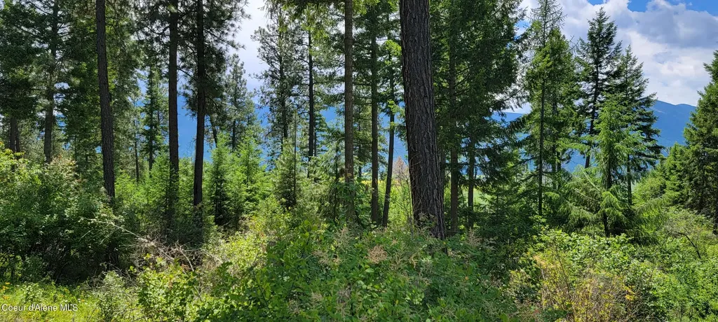 Nna Continental Lane-parcel 3 Bonners Ferry ID 83805