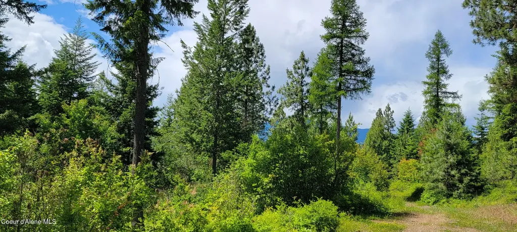 Nna Continental Lane-parcel 3 Bonners Ferry ID 83805