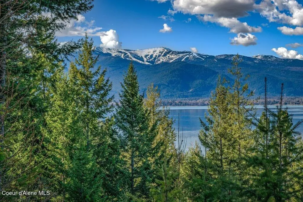 Nna Big Pine Drive Sagle ID 83860