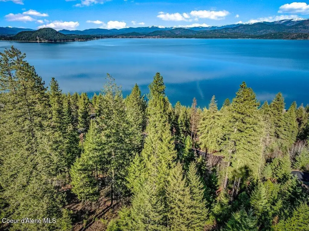 Nna Big Pine Drive Sagle ID 83860