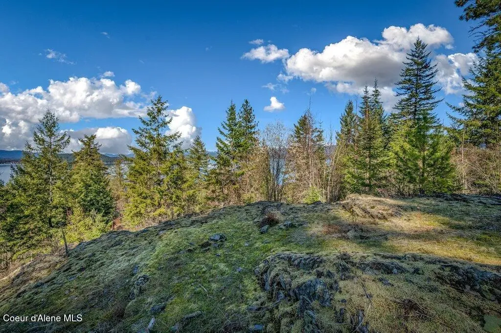 Nna Big Pine Drive Sagle ID 83860