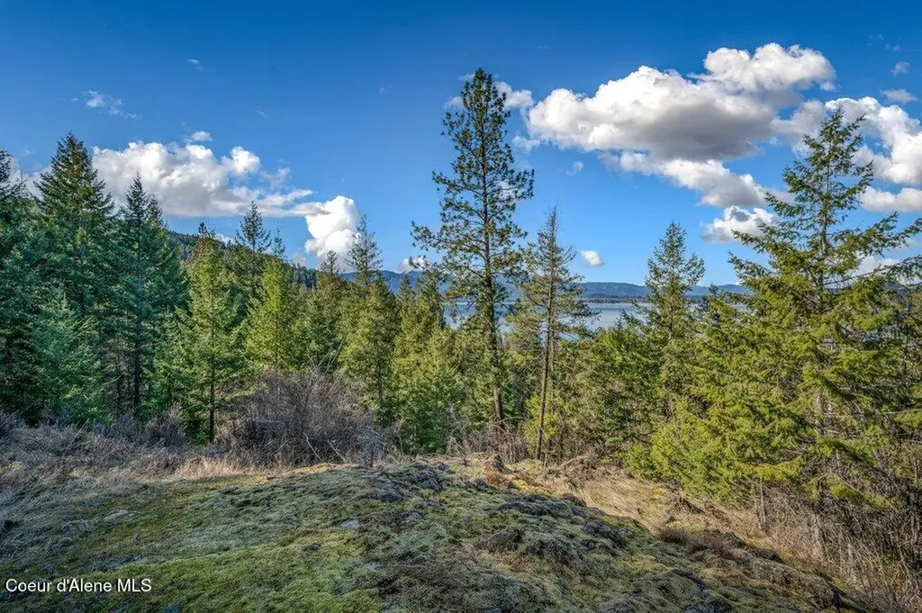Nna Big Pine Drive Sagle ID 83860
