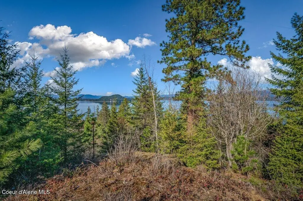 Nna Big Pine Drive Sagle ID 83860