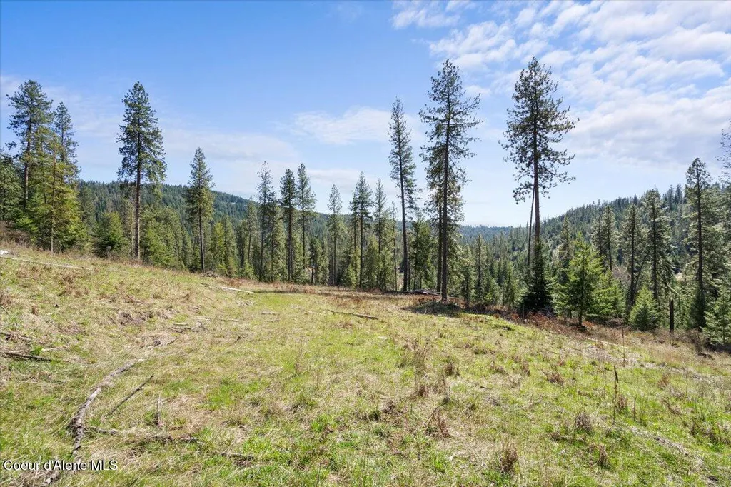 L4B1 Nka Highway 97 Harrison ID 83833