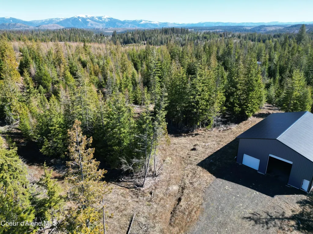 123 Badger Drive St. Maries ID 83861